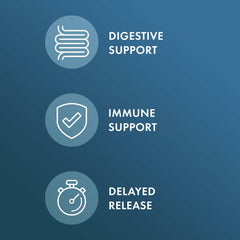 Illustration of delayed-release capsules for acid- and bile-tolerant support
