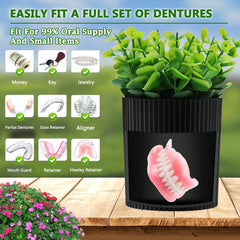 BPA-free material close-up of denture case
