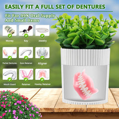 Denture case lid with removable 17 eucalyptus stems