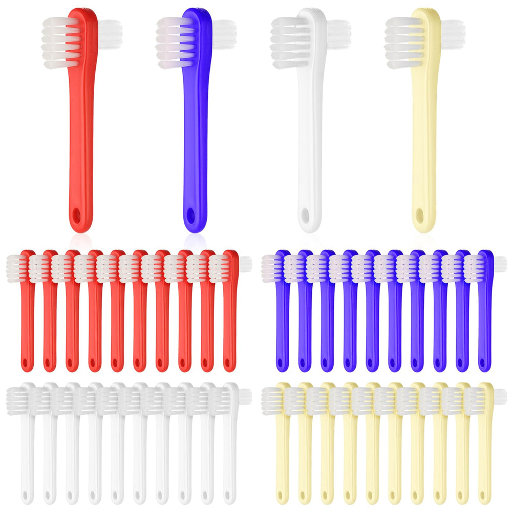 Dual-head denture brush with white handle