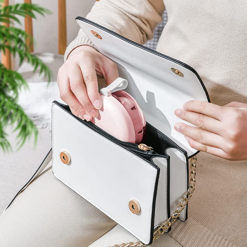 Pink denture case with transparent body and mirror inside