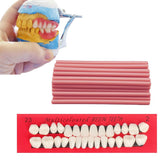 DIY dentures kit showing top and bottom denture components