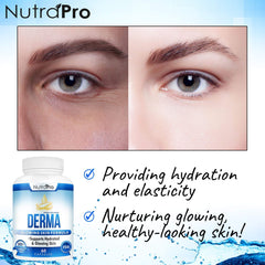 Close-up of Dermal Repair Complex ingredients featuring phytoceramides and alpha-lipoic acid