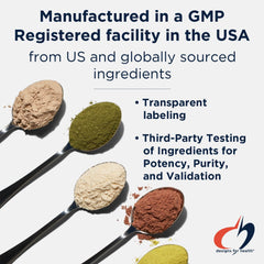 Designs for Health PaleoCleanse Plus ingredients close-up with milk thistle and herbs for detox support.