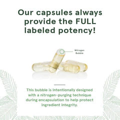 Cold-pressed borage oil capsules close-up