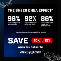 High-purity DHEA formula with enhanced absorption
