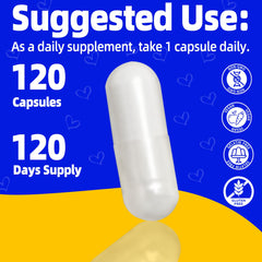 Gluten-free and Non-GMO DHEA supplement label