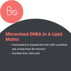 DHEA supports metabolism