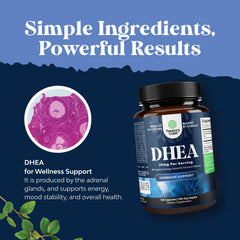 Made in USA GMP facility for DHEA supplement