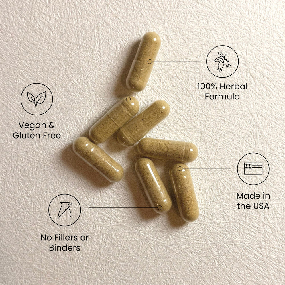 Dherbs Cascara Sagrada Bark herbal feature image emphasizes gentle gut support.