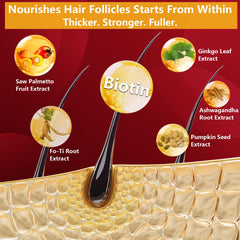 Ginkgo biloba for improved follicle oxygenation