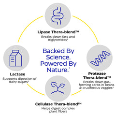 Illustration of Thera-blend enzyme technology in Digest Spectrum.