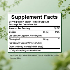 Chlorophyll visual for digestion and gut health support