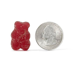 Daily-use probiotic gummies pack-shot