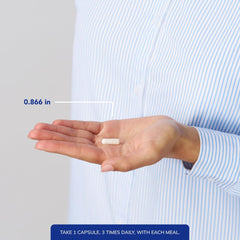 Illustration of digestive enzyme support