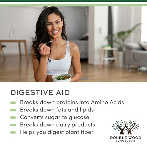 Amylase, Lipase, Protease highlighted in enzyme graphic