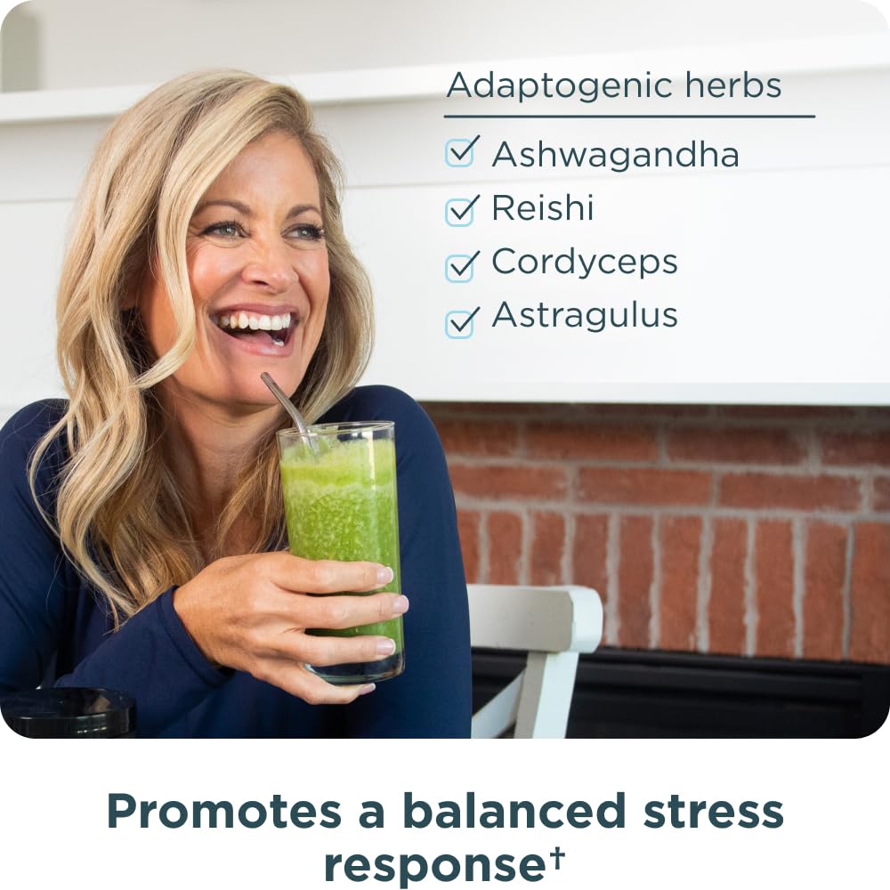 Digestive enzymes and adaptogens in the powder