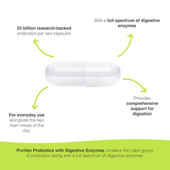 Illustration showing digestive enzymes and probiotics working together