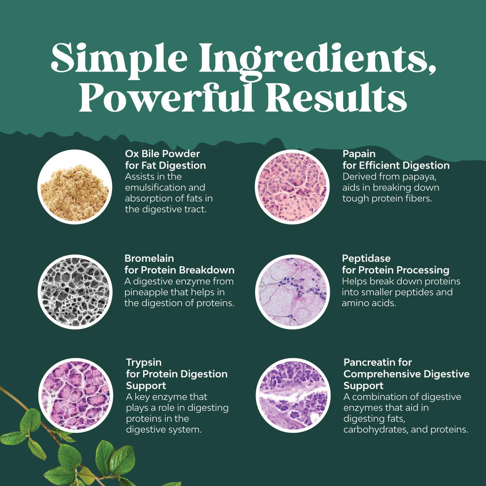 Made in USA GMP facility badge on bottle