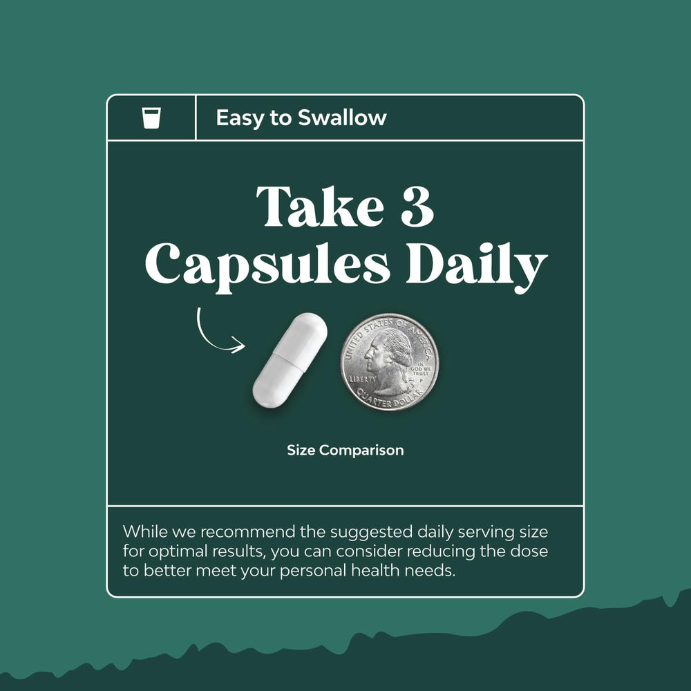 Digestive health concept with gut illustration