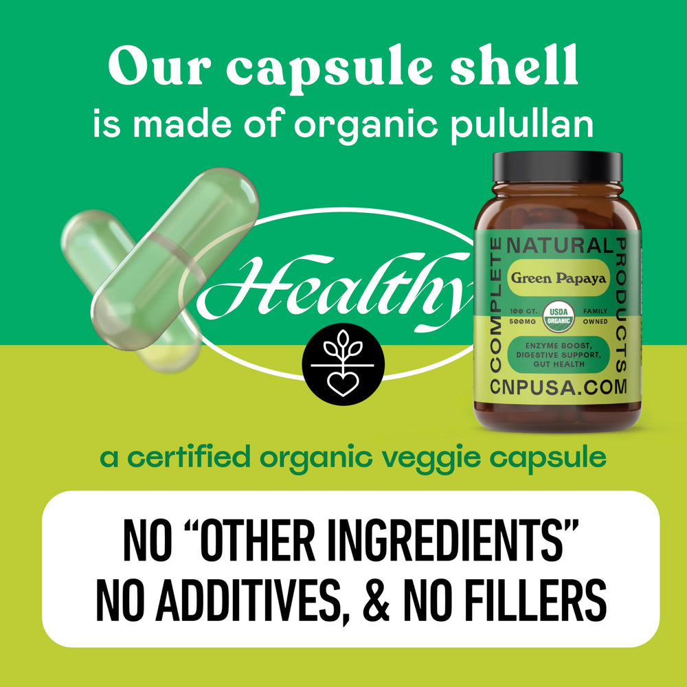 Digestive health concept with gut illustration