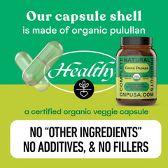 Digestive health concept with gut illustration