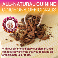 digestive health support with herbal bitters imagery