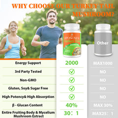 Digestive health turkey tail capsules supporting gut microbiome