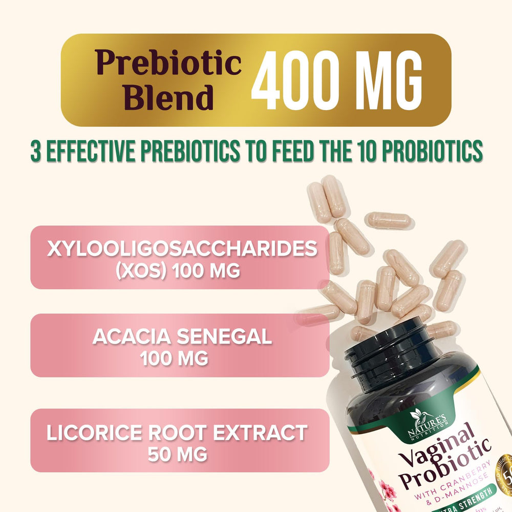 Digestive and immune support concept graphic