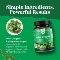 Digital illustration of digestive support and detox benefits