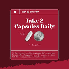 Person holding a bottle of Triphala capsules
