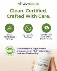 Illustration of fats, fiber, and sugars being processed by enzymes