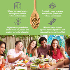 Illustration of DigestShield enzyme blend ingredients