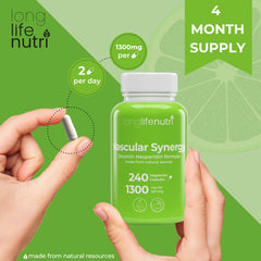 Graphic illustrating vascular health and circulation support