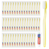 Disposable toothbrush set 100-pack packaging