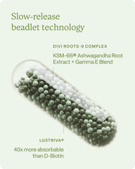 KSM-66 Ashwagandha root extract highlighted for the formula.