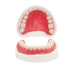 DIY denture kit top teeth component