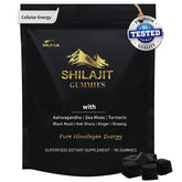 DLNIA Shilajit Gummies front view with bottle