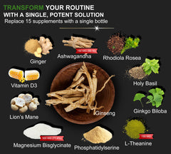 Ashwagandha and Lions Mane in the supplement formula