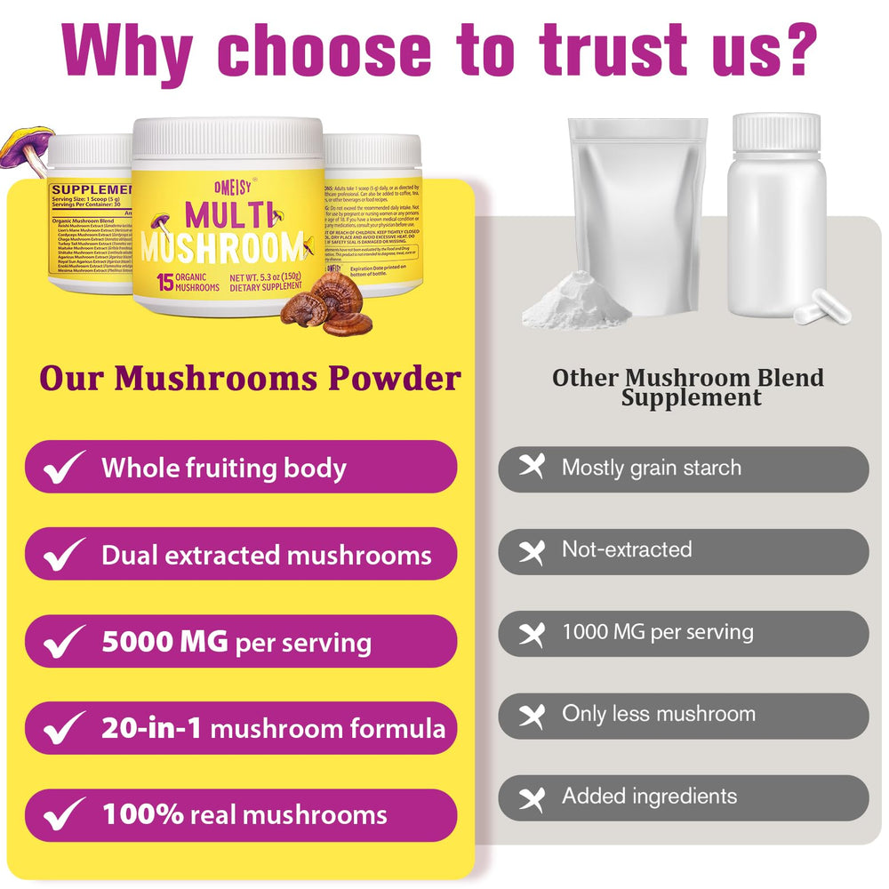 Chaga mushroom powder component in Dmeisy blend