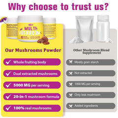 Chaga mushroom powder component in Dmeisy blend