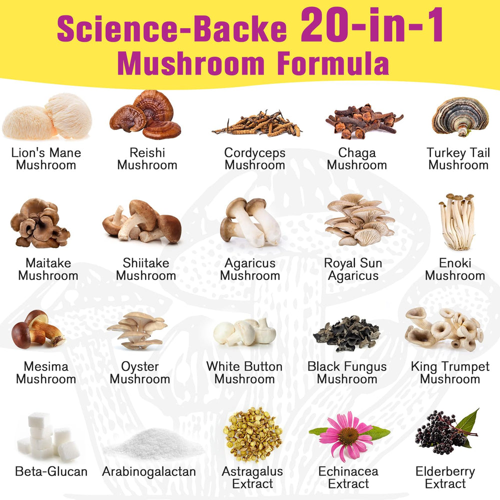 Cordyceps mushroom powder component in Dmeisy blend