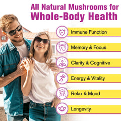 Reishi mushroom powder component in Dmeisy blend