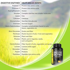 Graphic of improved nutrient absorption and gut health