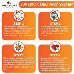 Doctor-formulated liposomal Vitamin C capsules