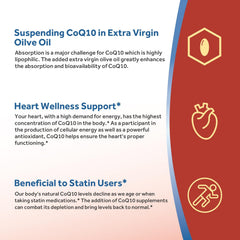 Antioxidant protection provided by CoQ10