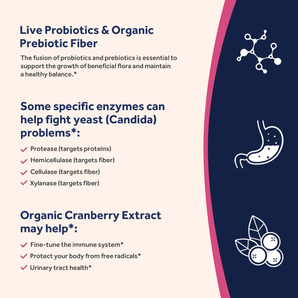 Illustration of prebiotic fiber, enzymes and cranberry