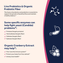Illustration of prebiotic fiber, enzymes and cranberry