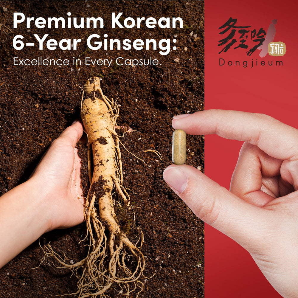 Harvested 6-year Korean red ginseng roots