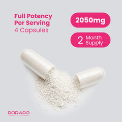 DORADO NUTRITION bottle next to ruler showing compact size and supply